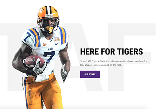 MUSE Advertising Awards - The Tiger Athletic Foundation Website Redesign